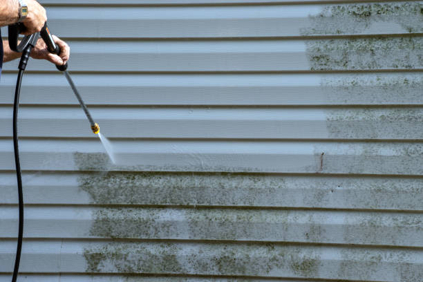Best Yard Waste Removal  in Springfield, KY