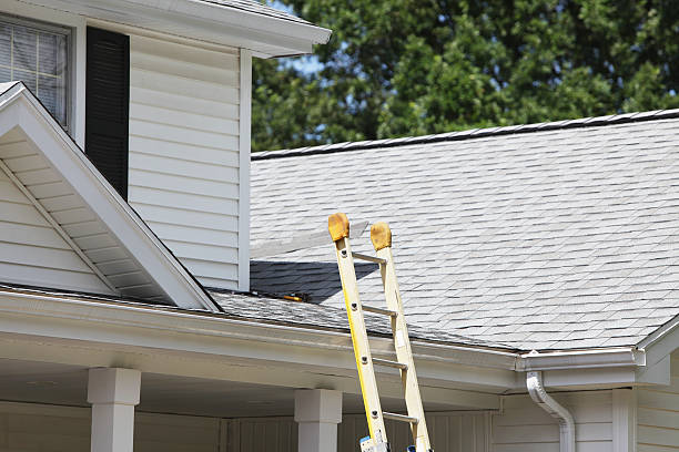 Same-Day Junk Removal Services in Springfield, KY